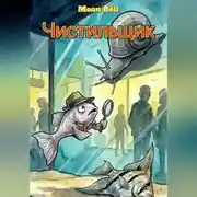 Постер книги Чистильщик