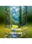 Ирина Одарчук Паули - Живая природа
