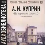 Постер книги На переломе (кадеты)