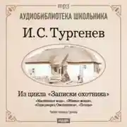 Постер книги Из записок охотника: Малиновая вода. Живые мощи. Однодворец Овсянников. Певцы