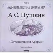 Постер книги Путешествие в Арзрум