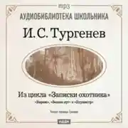 Постер книги Из записок охотника: Бирюк. Бежин луг. Бурмистр