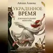 Постер книги Украденное время