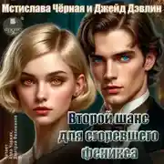 Постер книги Второй шанс для сгоревшего феникса. Том 1