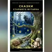 Постер книги Сказки Старшего Футарка