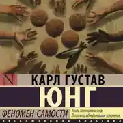 Постер книги Феномен самости