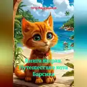 Постер книги Книга вторая. Путешествие кота Барсика
