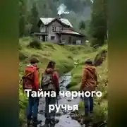 Постер книги Тайна черного ручья