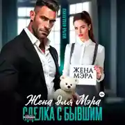 Постер книги Жена для мэра. Сделка с бывшим