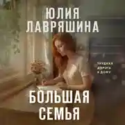 Постер книги Большая семья