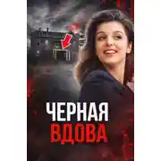 Постер книги Чёрная вдова Джорджии