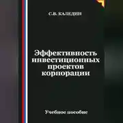 Постер книги Эффективность инвестиционных проектов корпорации