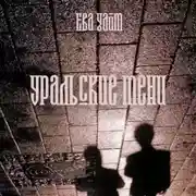 Постер книги Уральские тени