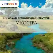 Постер книги У костра