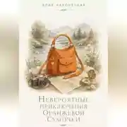 Постер книги Невероятные приключения оранжевой сумочки