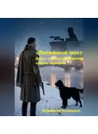 Владимир Кожедеев - «Литейный мост» Дело, в котором решилась судьба империи.