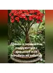 Война Владимир - Дракон в горшке. Как подружиться с драценой и не погубить её заботой