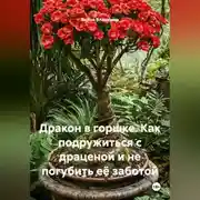 Постер книги Дракон в горшке. Как подружиться с драценой и не погубить её заботой