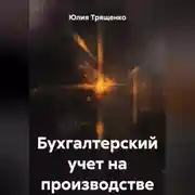 Постер книги Бухгалтерский учет на производстве