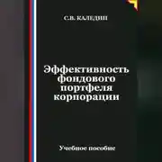 Постер книги Эффективность фондового портфеля корпорации