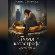 Постер книги Тихая катастрофа моего брака