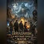 Постер книги Попаданцы в мертвый город магов
