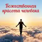 Постер книги Божественная красота человека