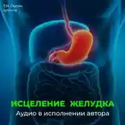 Постер книги Исцеление омоложение желудка кишечника