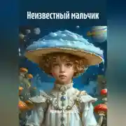 Постер книги Неизвестный мальчик