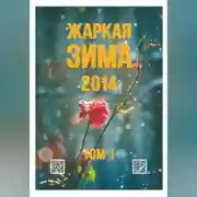 Постер книги Жаркая зима - 2014 Том 1