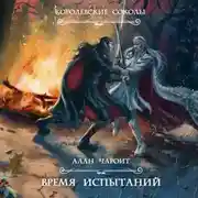 Постер книги Время испытаний