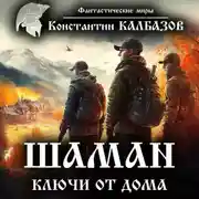 Постер книги Шаман. Ключи от дома