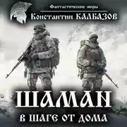 Постер книги Шаман. В шаге от дома
