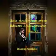 Постер книги Дела-загадки детектива Василия Всеволожского. Книга 2