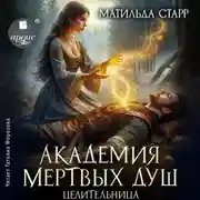Постер книги Академия мёртвых душ. Книга 4. Целительница