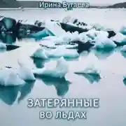 Постер книги Затерянные во льдах