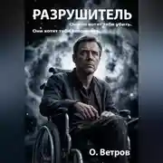 Постер книги Разрушитель