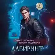 Постер книги Лабиринт