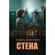 Постер книги Стена