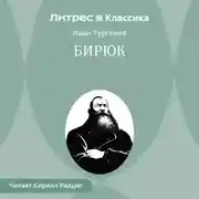 Постер книги Бирюк