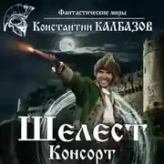 Постер книги Шелест. Консорт