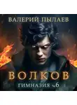 Валерий Пылаев - Волков. Гимназия №6