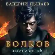 Постер книги Волков. Гимназия №6