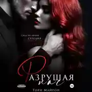 Постер книги Разрушая нас