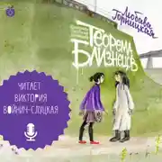 Постер книги Теорема близнецов