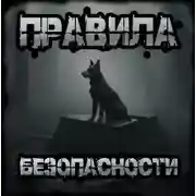 Постер книги Правила безопасности