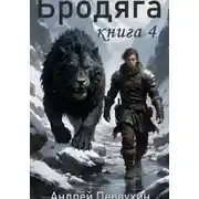 Постер книги Бродяга. Книга 4