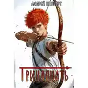 Постер книги Тринадцать. Книга 1