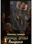 Владимир Снежкин - Академия