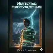 Постер книги Импульс пробуждения